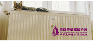 低碳钢恒盛注册优缺点介绍