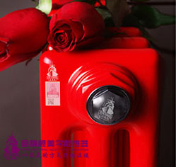 钢制恒盛注册用什么品牌的好