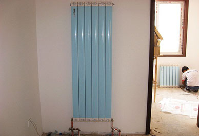 购买家用恒盛注册是什么材质好